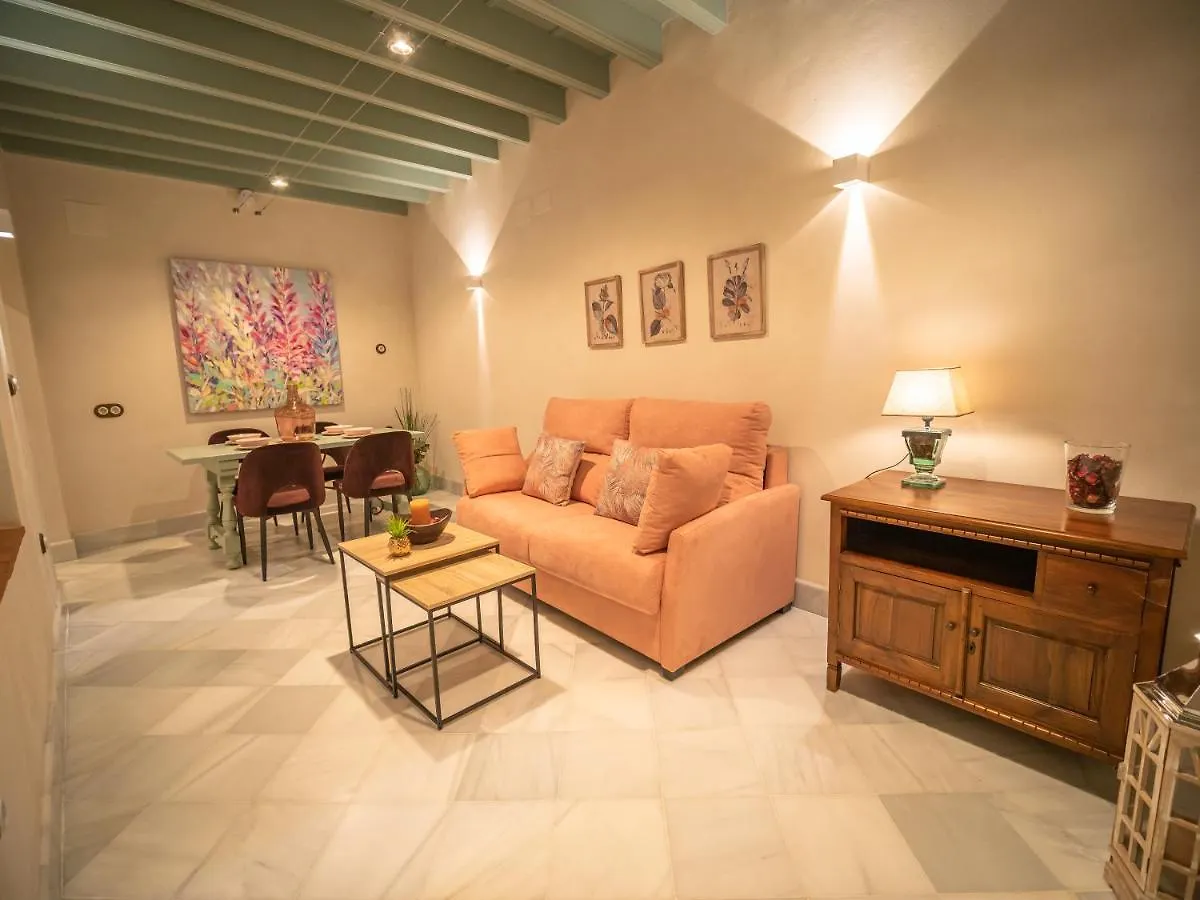 Casas De Sevilla - Apartamentos Vidrio 7 Seville