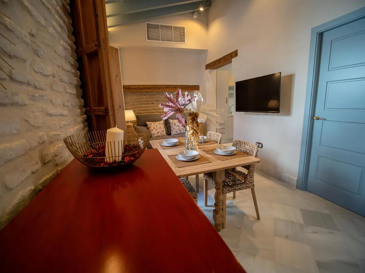 Casas De Sevilla - Apartamentos Vidrio 7