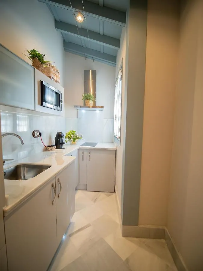 Daire Casas De Sevilla - Apartamentos Vidrio 7 İspanya